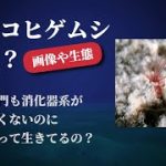 Thumbnail of related posts 190