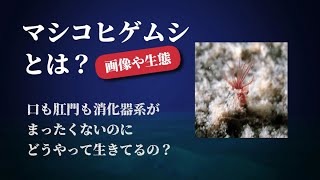 Thumbnail of post image 017