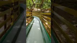 Thumbnail of post image 071