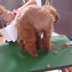 Thumbnail of related posts 077