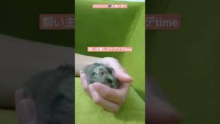 Thumbnail of post image 096