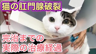 Thumbnail of post image 190