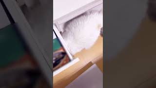 Thumbnail of post image 197