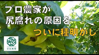 Thumbnail of post image 160