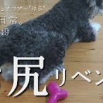 Thumbnail of related posts 071