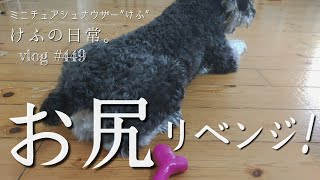 Thumbnail of post image 111