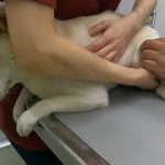 Thumbnail of related posts 127