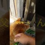 Thumbnail of related posts 083