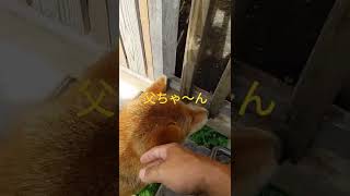 Thumbnail of post image 136