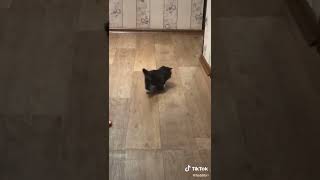 Thumbnail of post image 043