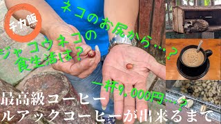 Thumbnail of post image 099