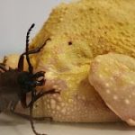 Thumbnail of related posts 168
