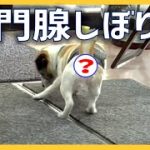 Thumbnail of related posts 147