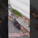 Thumbnail of related posts 049