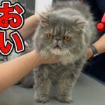 Thumbnail of related posts 089