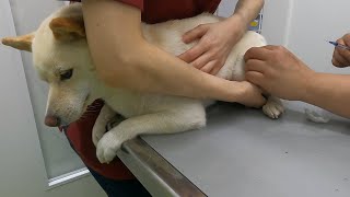 Thumbnail of post image 085