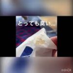 Thumbnail of related posts 075