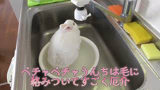 Thumbnail of post image 056