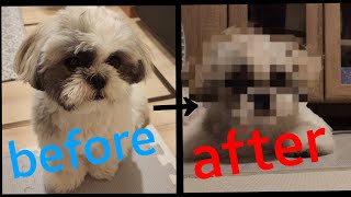 Thumbnail of post image 022