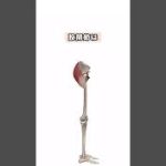 Thumbnail of related posts 114