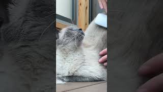 Thumbnail of post image 109