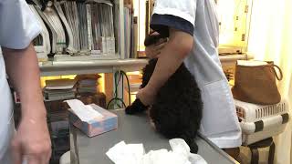 Thumbnail of post image 088