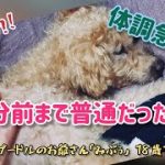Thumbnail of related posts 045