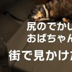 Thumbnail of related posts 122