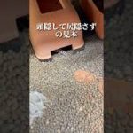 Thumbnail of related posts 039