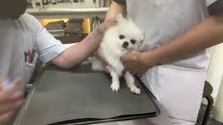 Thumbnail of post image 041