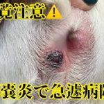 Thumbnail of related posts 094