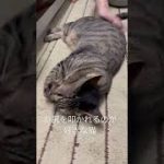 Thumbnail of related posts 177