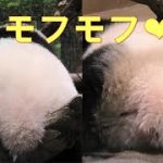 Thumbnail of related posts 068