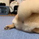 Thumbnail of related posts 026