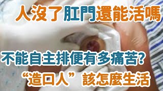 Thumbnail of post image 028