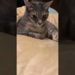 Thumbnail of related posts 147