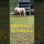 Thumbnail of related posts 051