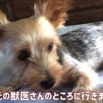 Thumbnail of related posts 088