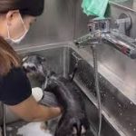 Thumbnail of related posts 138