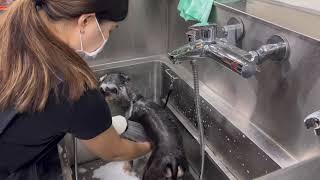 Thumbnail of post image 187