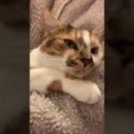 Thumbnail of related posts 121