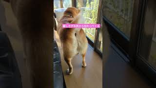 Thumbnail of post image 010