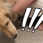Thumbnail of related posts 082