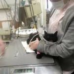 Thumbnail of related posts 061