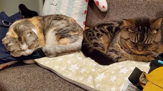 Thumbnail of post image 192