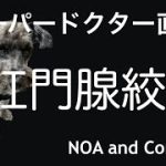 Thumbnail of related posts 015