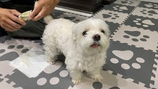 Thumbnail of post image 154