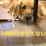 Thumbnail of related posts 185