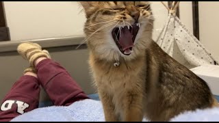 Thumbnail of post image 081