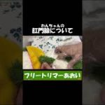 Thumbnail of related posts 031